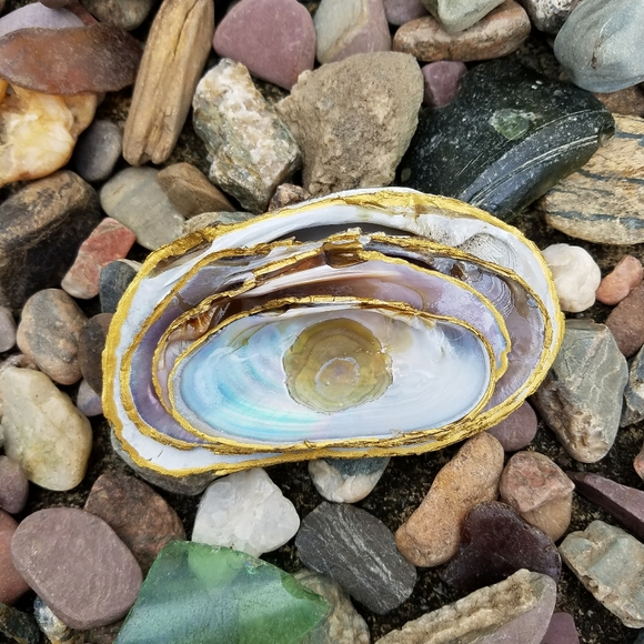 Clamshell Trinket Dish (Set of Two) - Picture 6 of 7